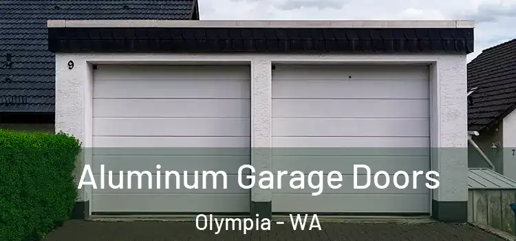  Aluminum Garage Doors Olympia - WA