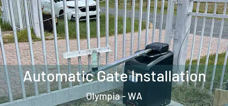Automatic Gate Installation Olympia - WA