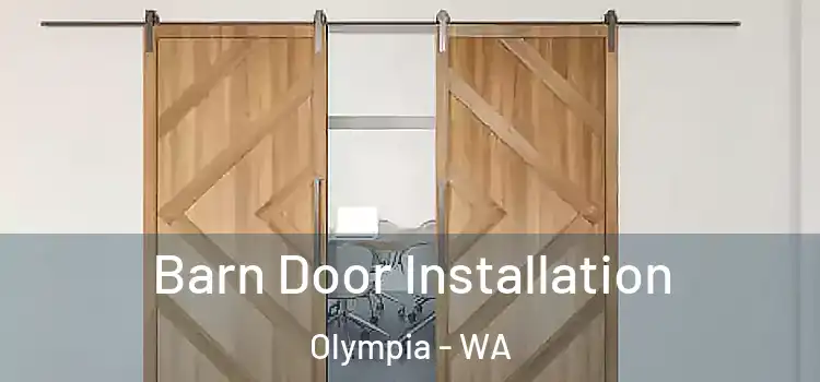  Barn Door Installation Olympia - WA