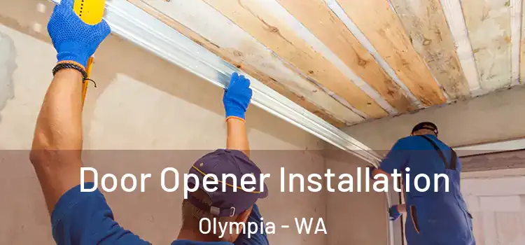 Door Opener Installation Olympia - WA