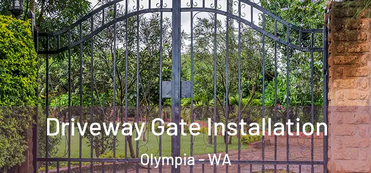 Driveway Gate Installation Olympia - WA