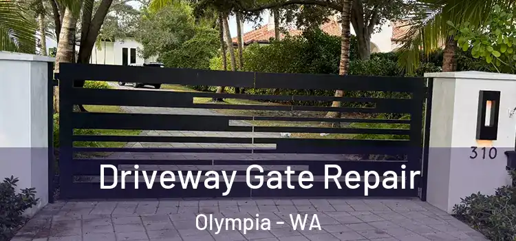 Driveway Gate Repair Olympia - WA