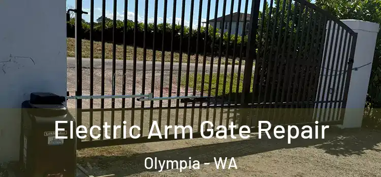 Electric Arm Gate Repair Olympia - WA