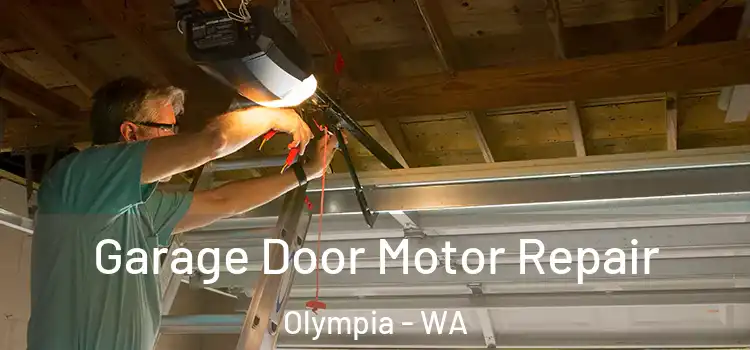  Garage Door Motor Repair Olympia - WA
