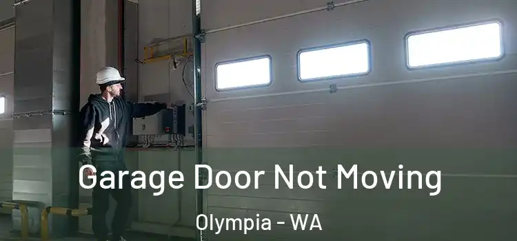  Garage Door Not Moving Olympia - WA