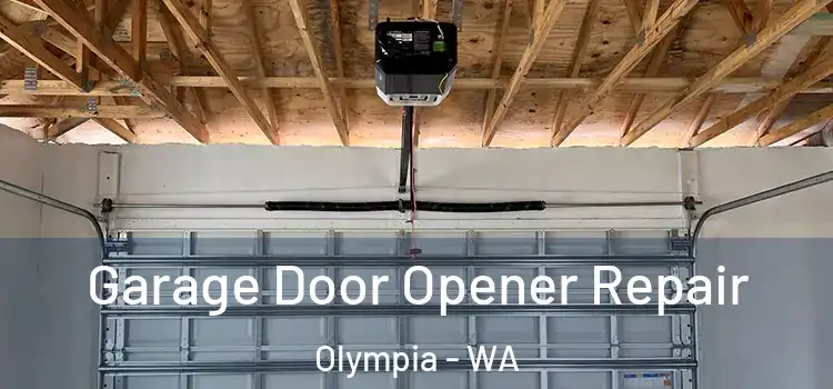  Garage Door Opener Repair Olympia - WA
