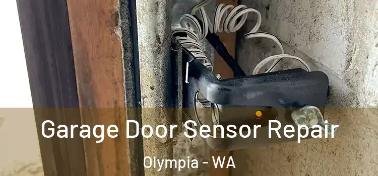 Garage Door Sensor Repair Olympia - WA
