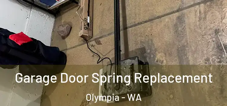  Garage Door Spring Replacement Olympia - WA