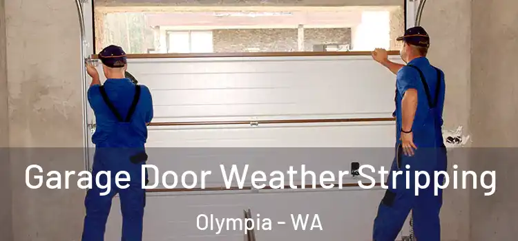  Garage Door Weather Stripping Olympia - WA
