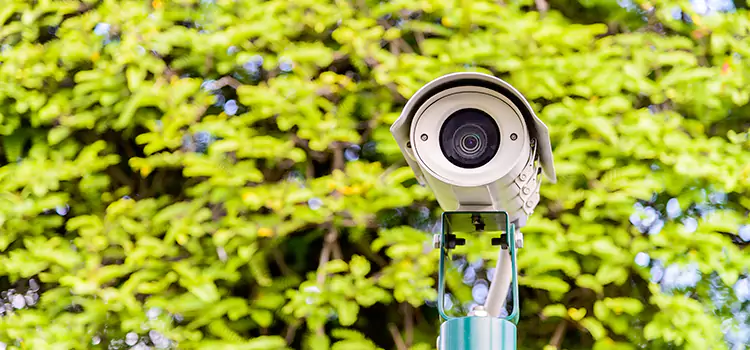 Advanced Surveillance Solutions for Every Need in Olympia
