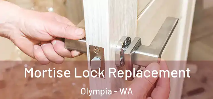  Mortise Lock Replacement Olympia - WA