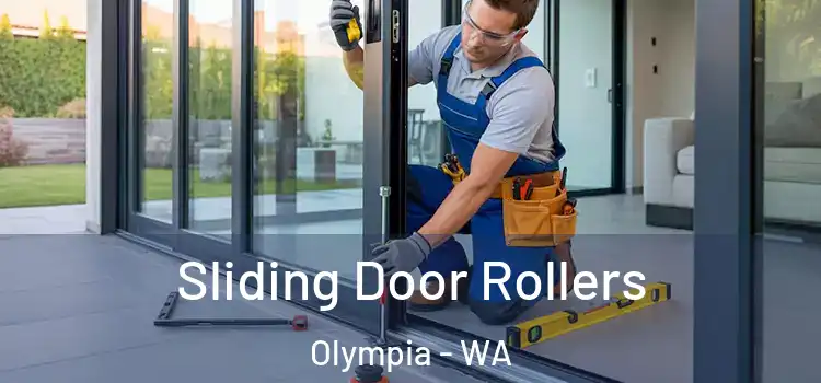  Sliding Door Rollers Olympia - WA