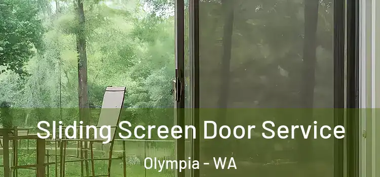 Sliding Screen Door Service Olympia - WA