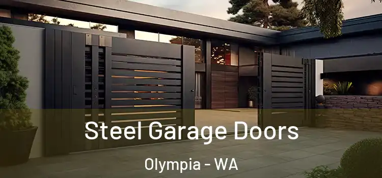 Steel Garage Doors Olympia - WA
